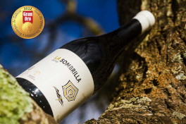 Los vinos mejor valorados en la Guía de Vinos y Bodegas de Galicia 2022